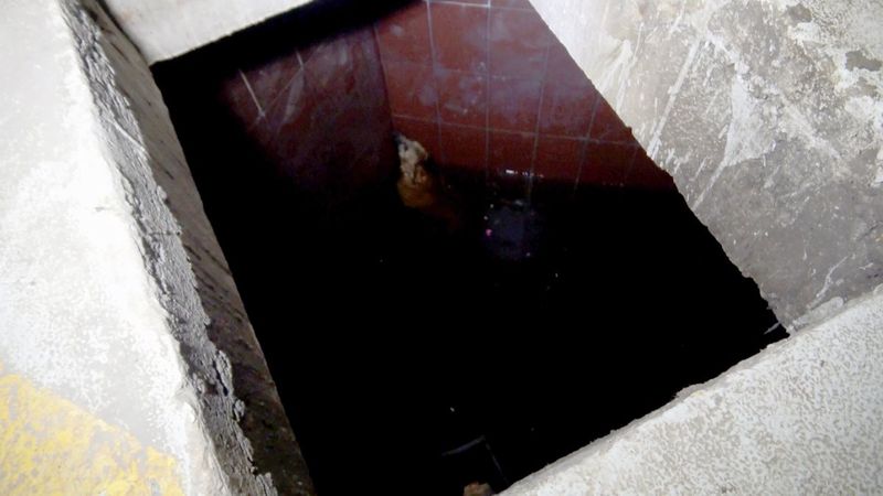 Kütahya'da kuyuya düşen köpek kurtarıldı