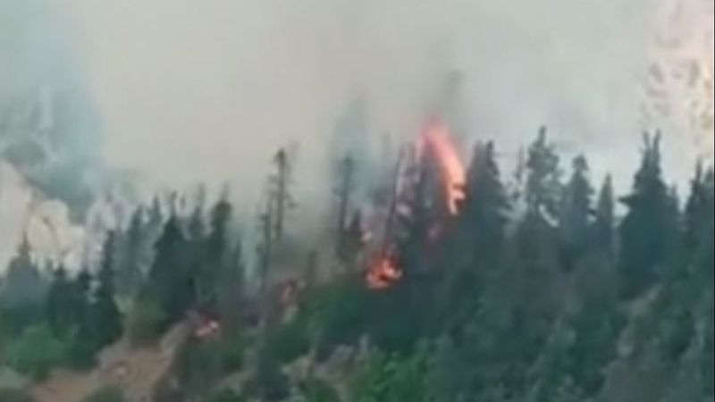 Artvin'de ormana düşen yıldırım yangın çıkardı