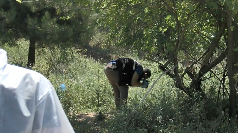 Bursa'da karton kutudan bebek cesedi çıktı