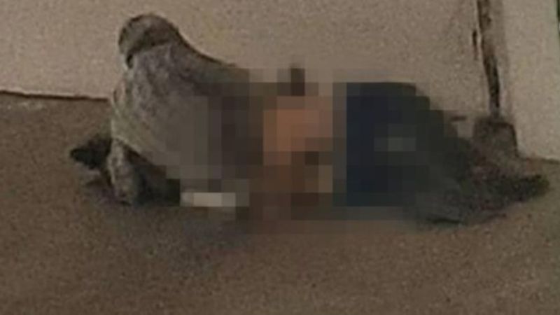 Aydın'da köpeğe tecavüz ederken yakalandı, serbest bırakıldı