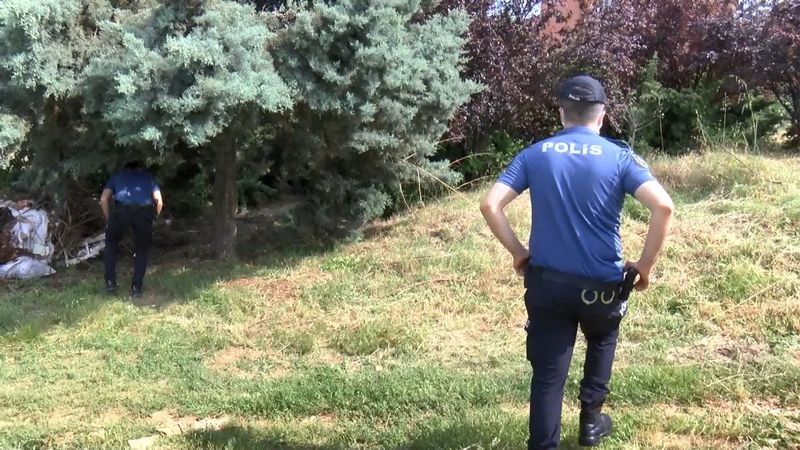 Pendik’te zehirlenerek öldürülmüş 17 köpek bulundu