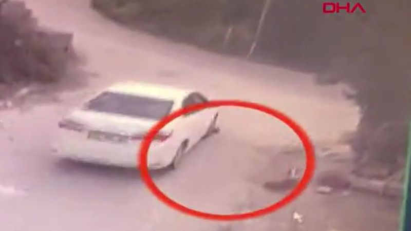 Konya’da yavru köpeği ezip yoluna devam etti