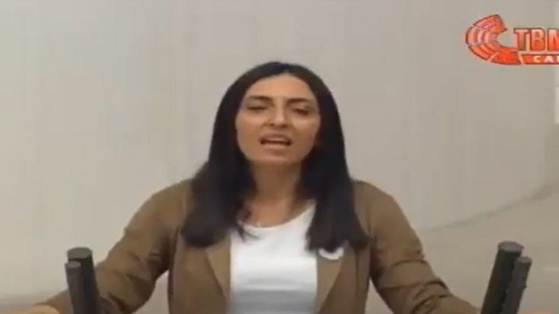 CHP'li Nurhayat Altaca Kayışoğlu, Meclis kürsüsünde türkü söyledi