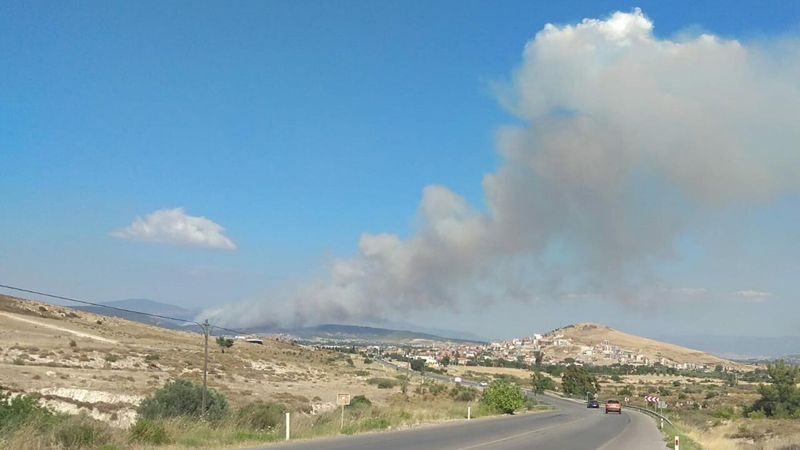Foça'da orman yangını