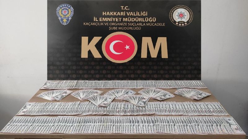 Hakkari'de 48 bin 100 dolar sahte paraya el konuldu