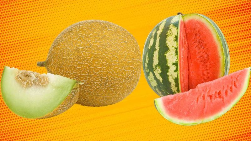 Kavun ve karpuz: Hangisi daha sağlıklı?