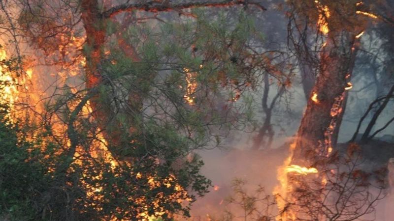 İzmir Foça'da orman yangını kontrol altına alındı