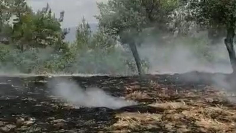 Denizli’de ormanlık alanda yangın