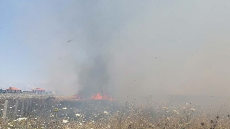 Silivri'deki buğday tarlasında yangın çıktı