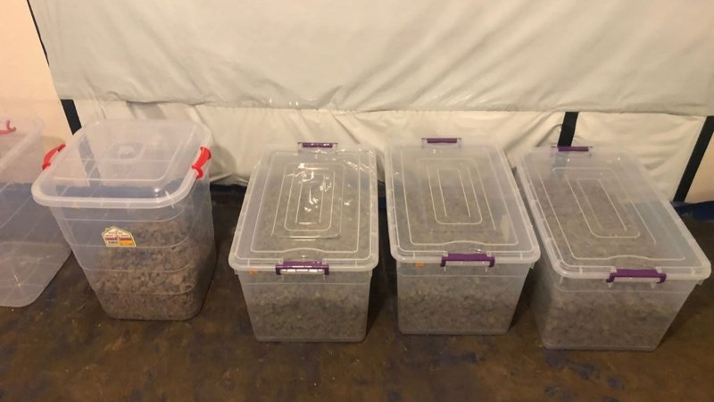 Kartal'da narkotik baskını: 2 gözaltı