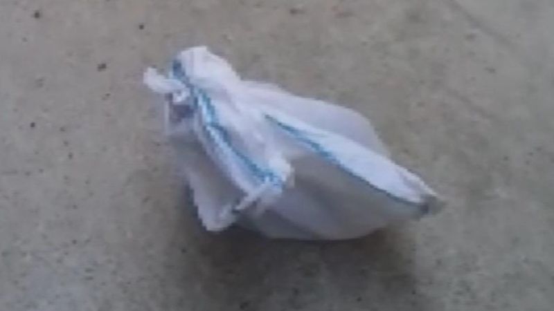 İstanbul'da kediyi çuvala koyup evin bahçesine attılar