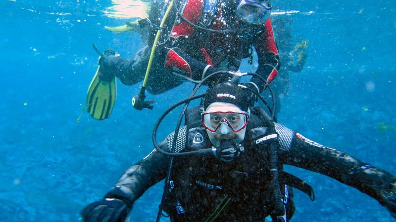 Mustafa Varank, 'Doğal Akvaryum'da