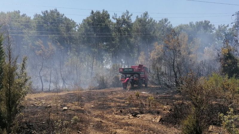 Manavgat'ta orman yangını