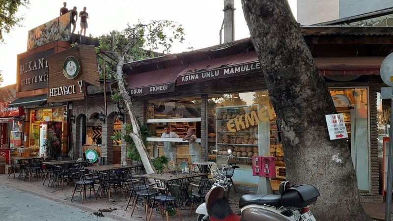 Bursa'da tarihi çınarın 9 metrelik dalı, kafenin üstüne düştü