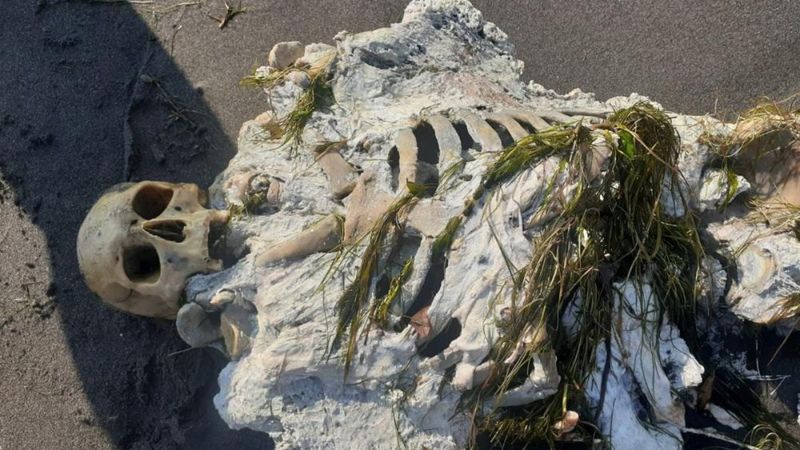 Samsun’da sahile iskelet vurdu