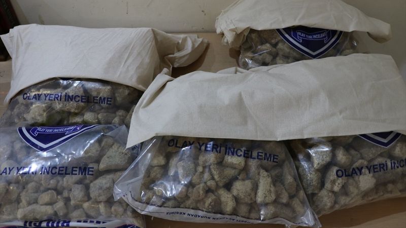 Kapıkule'de uyuşturucu ve hormon ilacı operasyonu