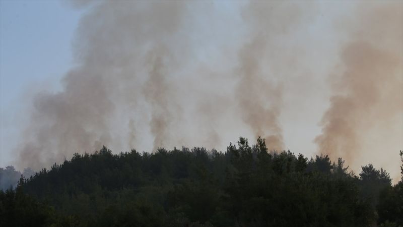 Mersin ve Hatay'daki orman yangınları kontrol altına alındı