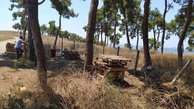 Adalar’da kurban kesim alanı sorunu vatandaşları mağdur etti