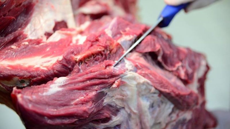 İyi saklanmayan etler bulaşıcı hastalık yayıyor