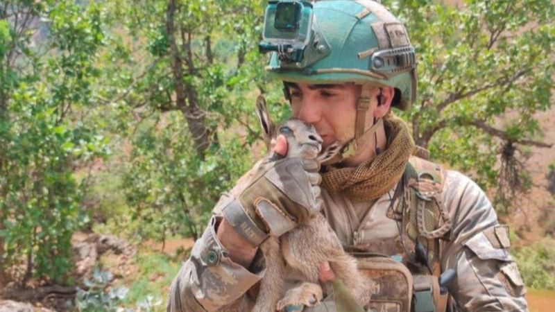 Mehmetçik, görev yaptığı bölgedeki hayvanları unutmadı
