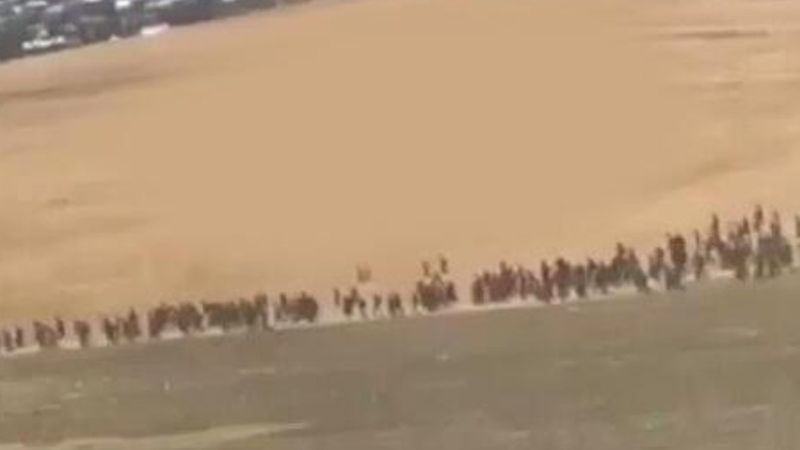 Van Valiliği, göçmenlerle ilgili açıklama yaptı