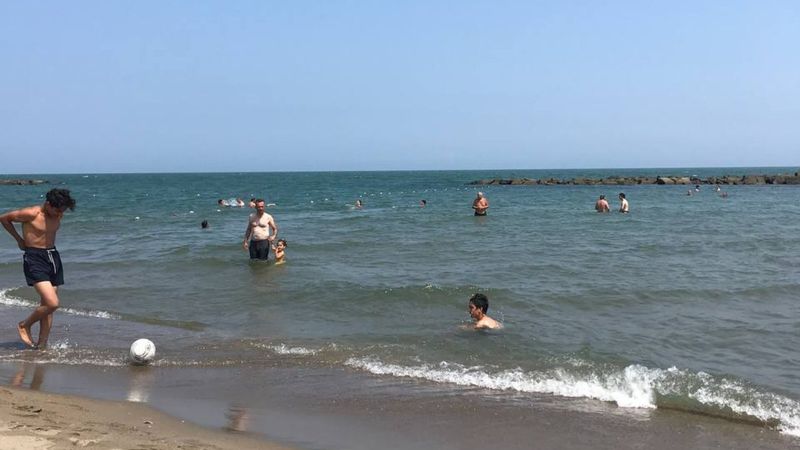 Sakarya'daki kaşıntıların nedeni, deniz anası çıktı