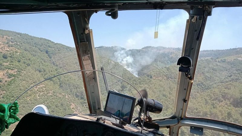 İzmir'de ormanlık alanda yangın çıktı