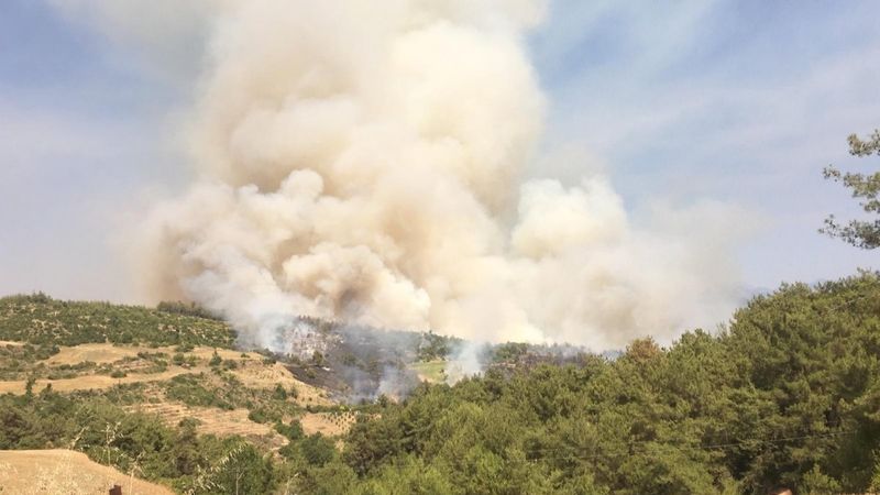 Osmaniye'de orman yangını