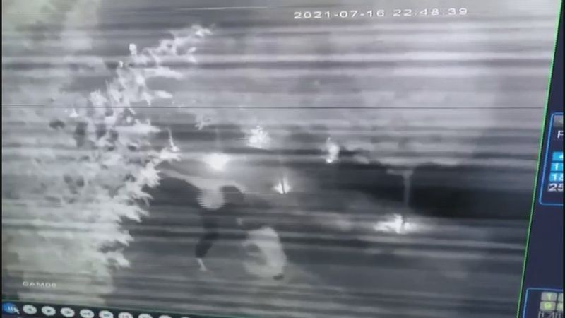 Manken Gizem Akbaş, eski sevgilisi tarafından darbedildi