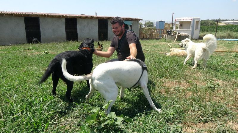 Edirne'de hayvan otelleri de tatil nedeniyle doldu