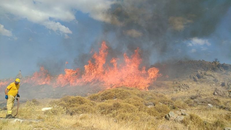 İzmir'de izmarit yangını 18 dönümlük araziyi küle çevirdi
