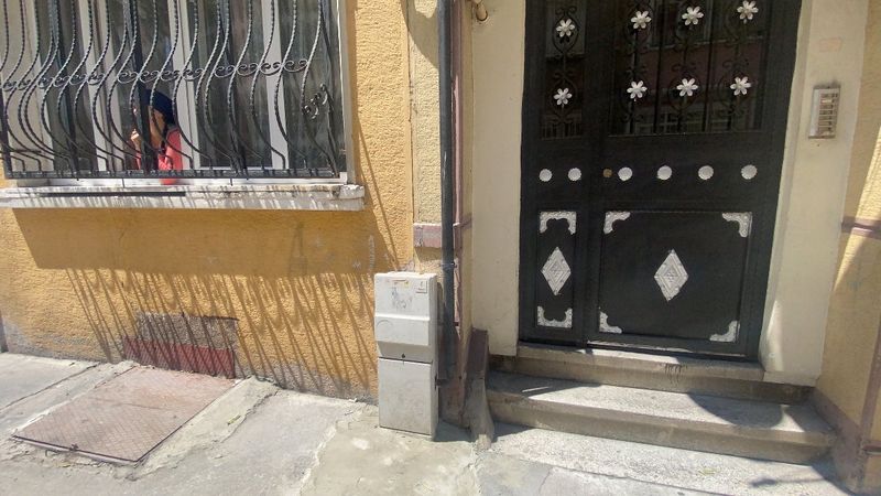 Beyoğlu'nda yılanlar kömürlükte yuva yaptı