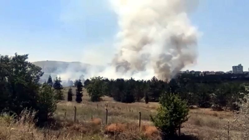 Ankara'da Atatürk Orman Çiftliği arazisinde yangın
