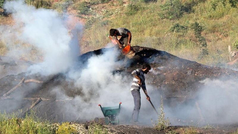 Erzincan'da işçilerin mangal kömürü mesaisi