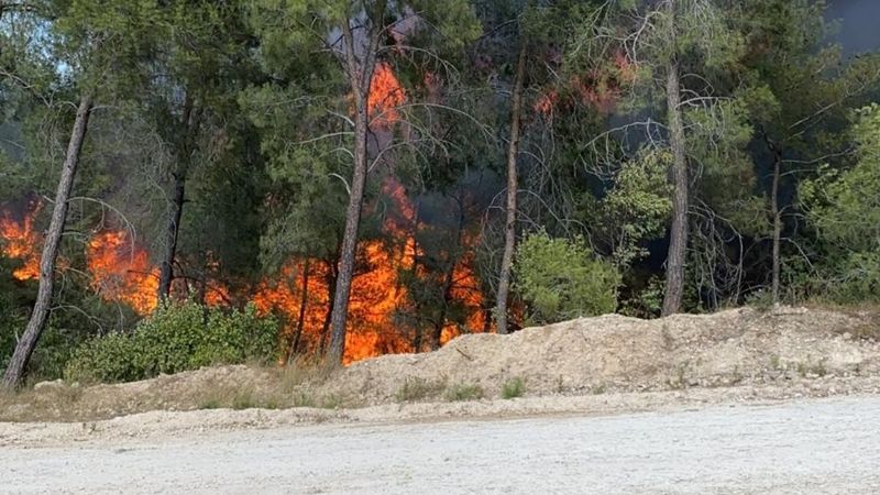 Adana'da orman yangını