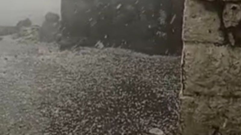 Kars’ta dolu ekili alanlara zarar verdi