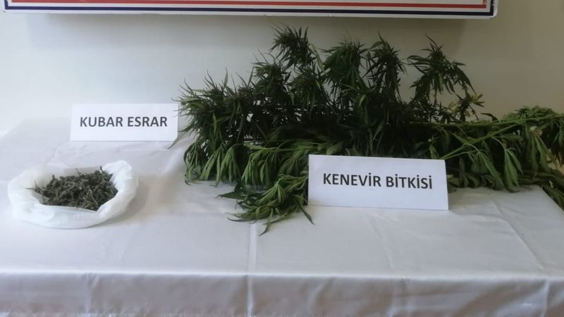 Kahramanmaraş’ta Hint keneviri ve kubar esrar ele geçirildi