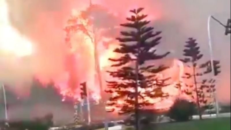 Manavgat'ta orman yangını çıktı