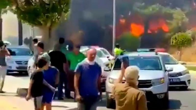 Manavgat'taki orman yangını, evlere sıçradı