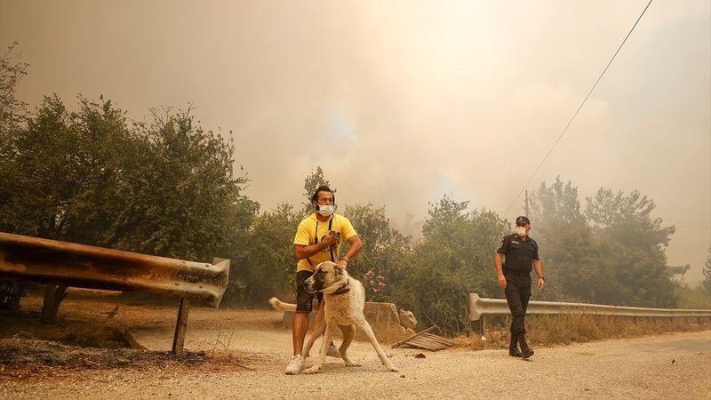 Manavgat'ta yangından etkilenenlerin sayısı belli oldu