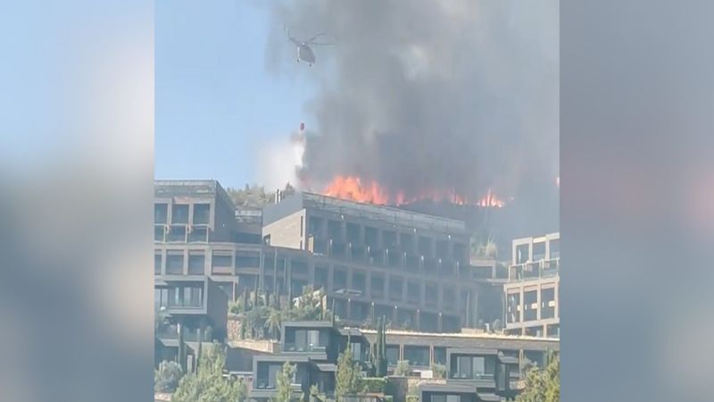 Dusko Tosiç'in eşi Jelena Karleusa'dan yangın paylaşımı