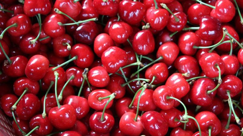 Ürik asidi uzak tutmanıza yardımcı olacak 7 besin