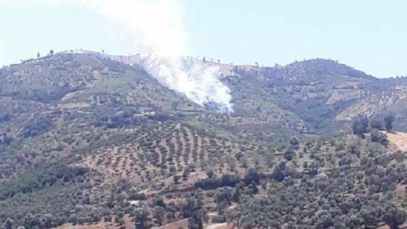 İzmir'de orman yangını çıktı