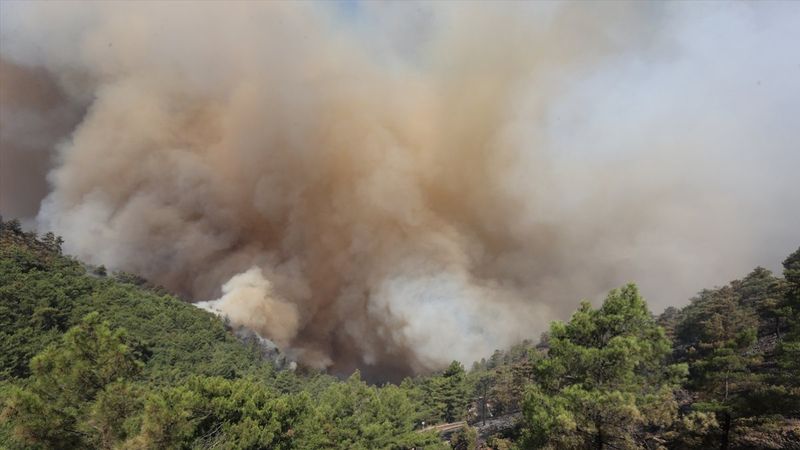 Orman yangınları için özel ekip görevlendirildi