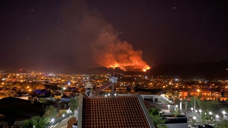 Fethiye'de orman yangını