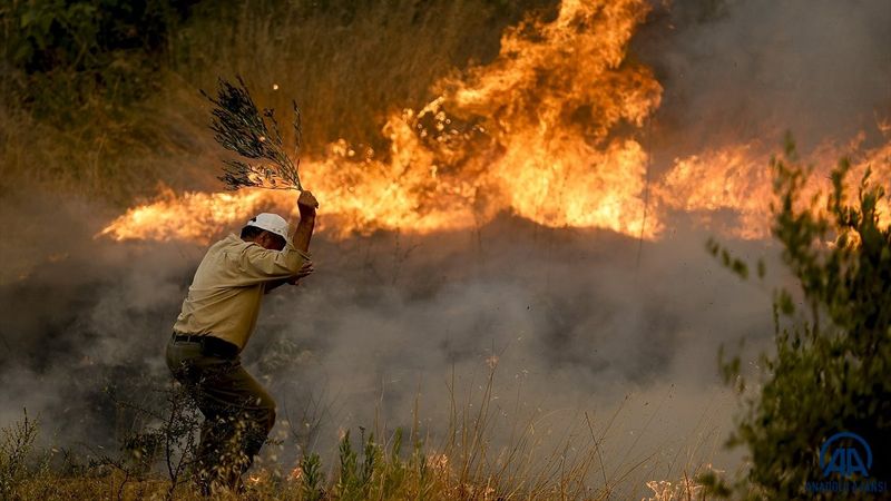 Orman yangınlarını söndürmek için vatandaşlar seferber oldu