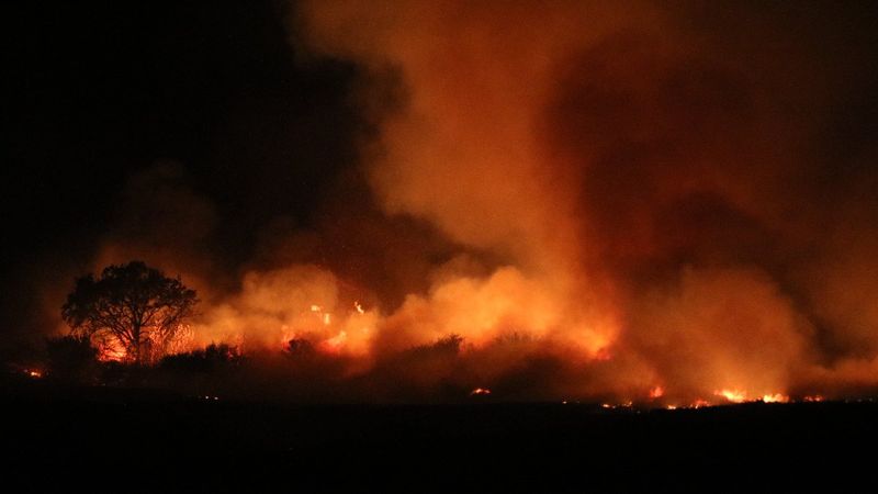 Edirne'de anız yangını ekili tarlalara sıçradı