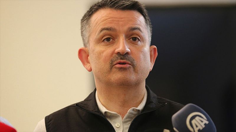 Bekir Pakdemirli: 112 orman yangınının 107'si kontrol altında