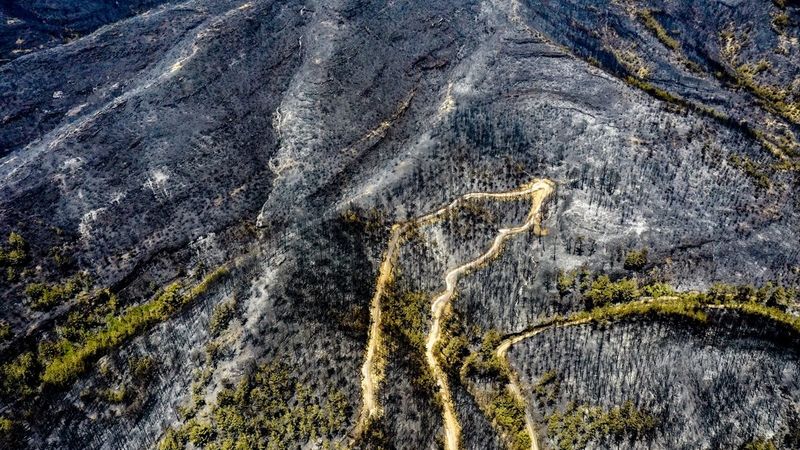 Manavgat ormanları küle döndü