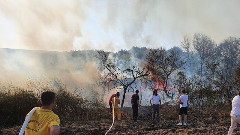 Balıkesir’de elektrik direğine çarpan atmaca yangına neden oldu